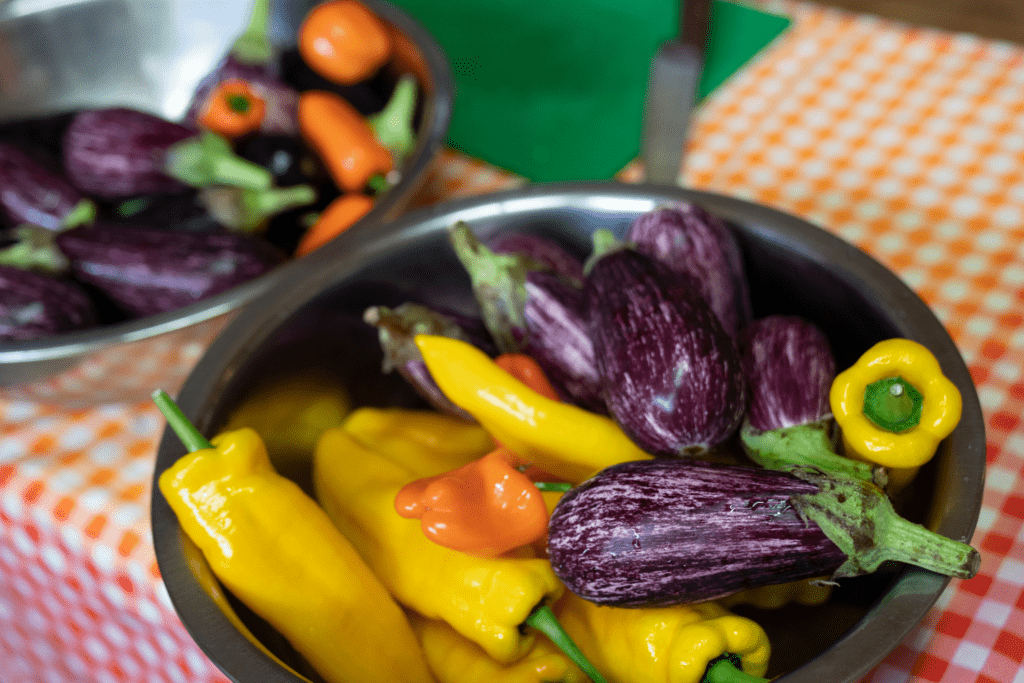 bowl of surplus vegetables