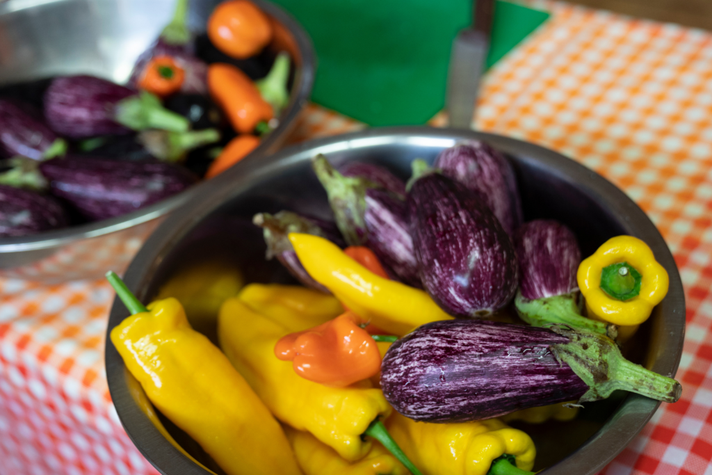 bowl of surplus vegetables